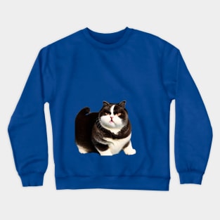 Chonky Chonkers Crewneck Sweatshirt